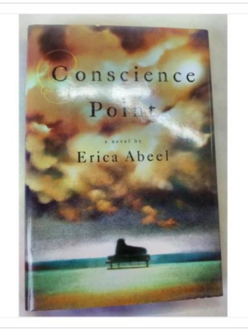 Conscience Point A Novel of Modern Literary Fiction and Emotional 1st 2008 HC